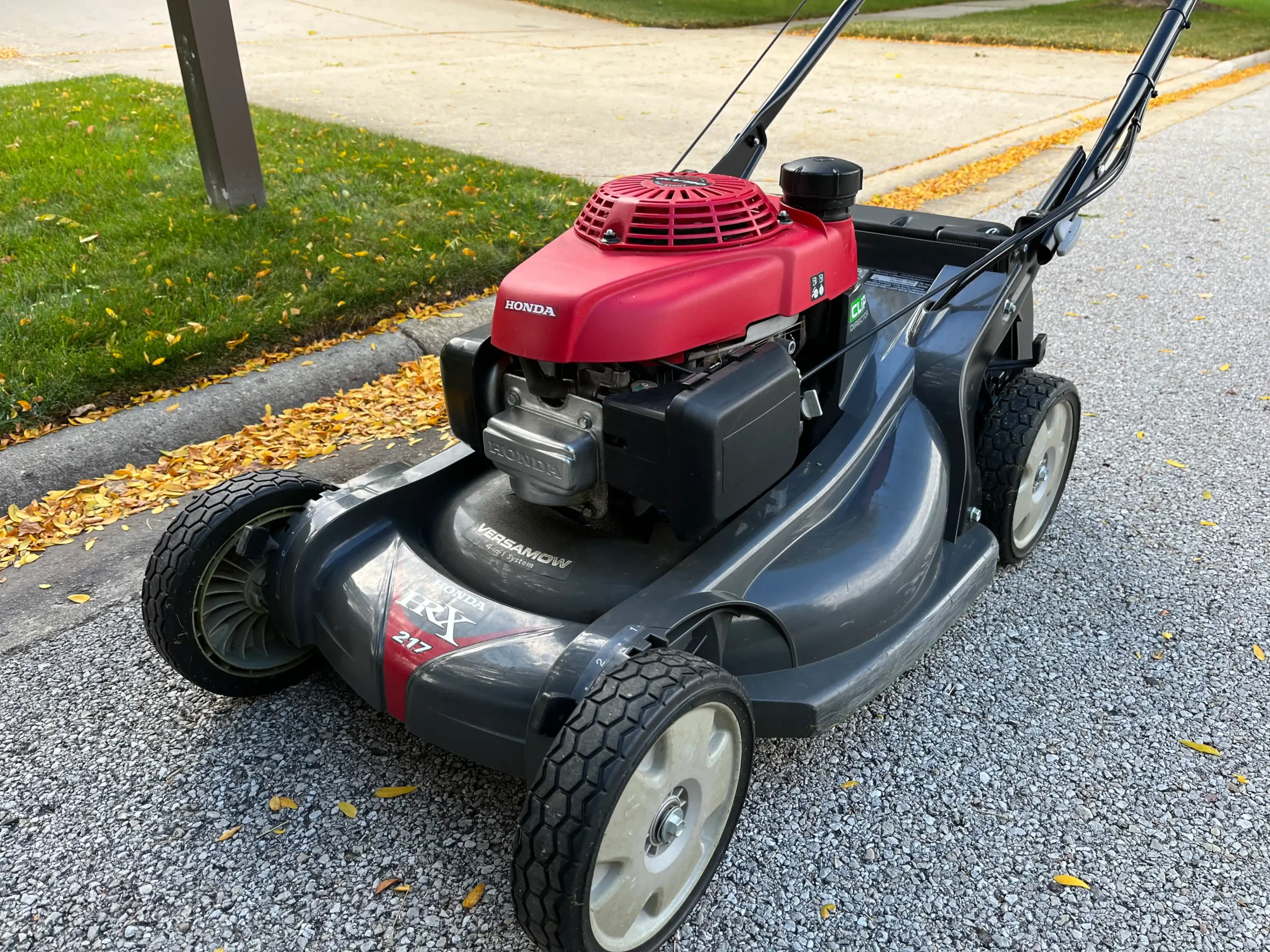 IMG_0714 - Copy - Copy brush removal in the Chicagoland Area3